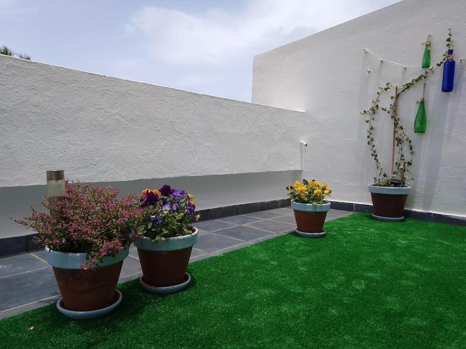 Apartamento Humboldt ,Island Paradise La Orotava Esterno foto