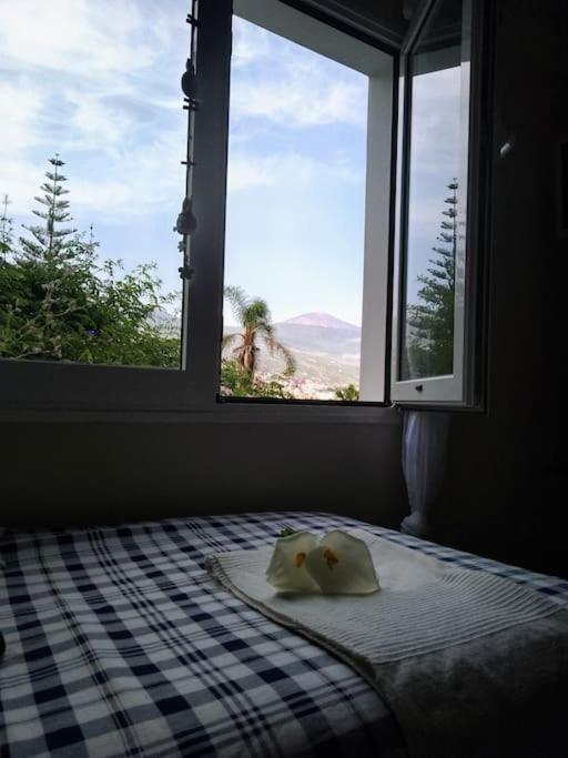 Apartamento Humboldt ,Island Paradise La Orotava Esterno foto